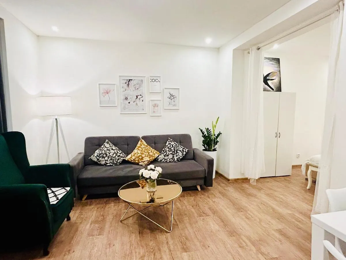 New Luxury Style Apartment In Central Prague
